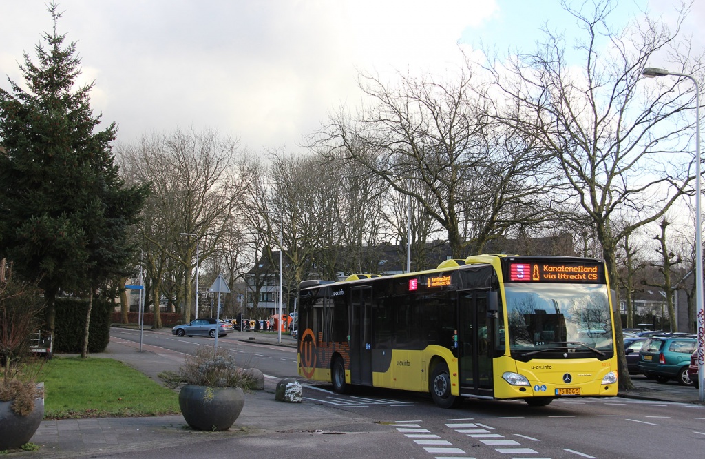 Klik op de foto om originele grootte te bekijken