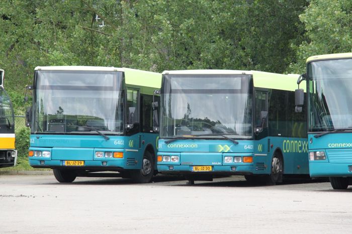 Klik op de foto om originele grootte te bekijken