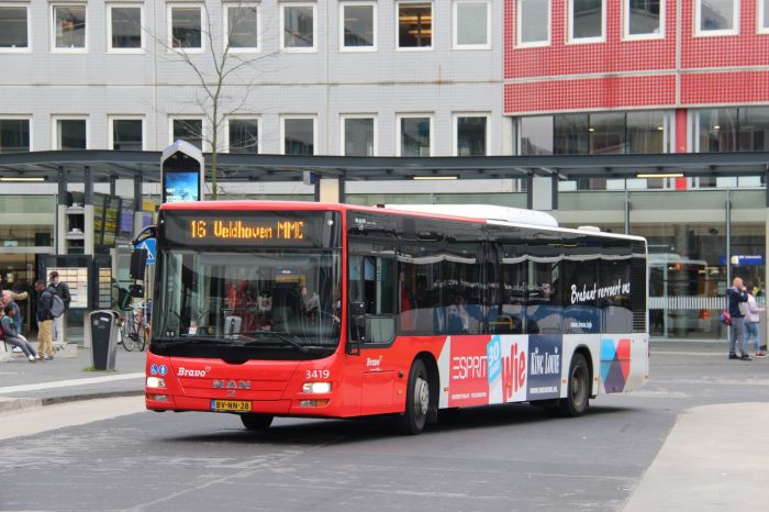 Klik op de foto om originele grootte te bekijken