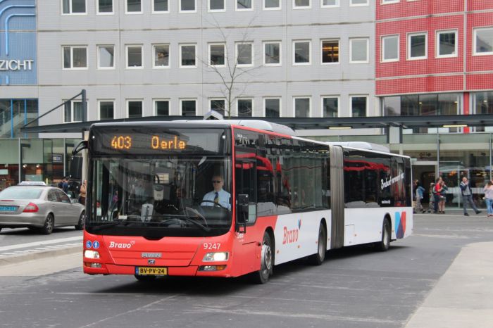 Klik op de foto om originele grootte te bekijken