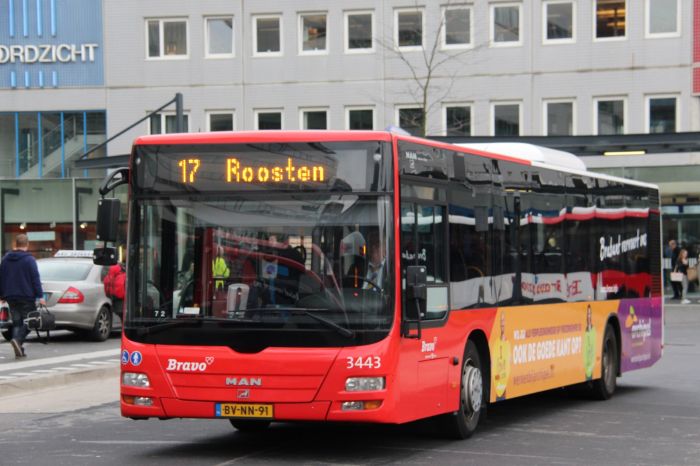 Klik op de foto om originele grootte te bekijken