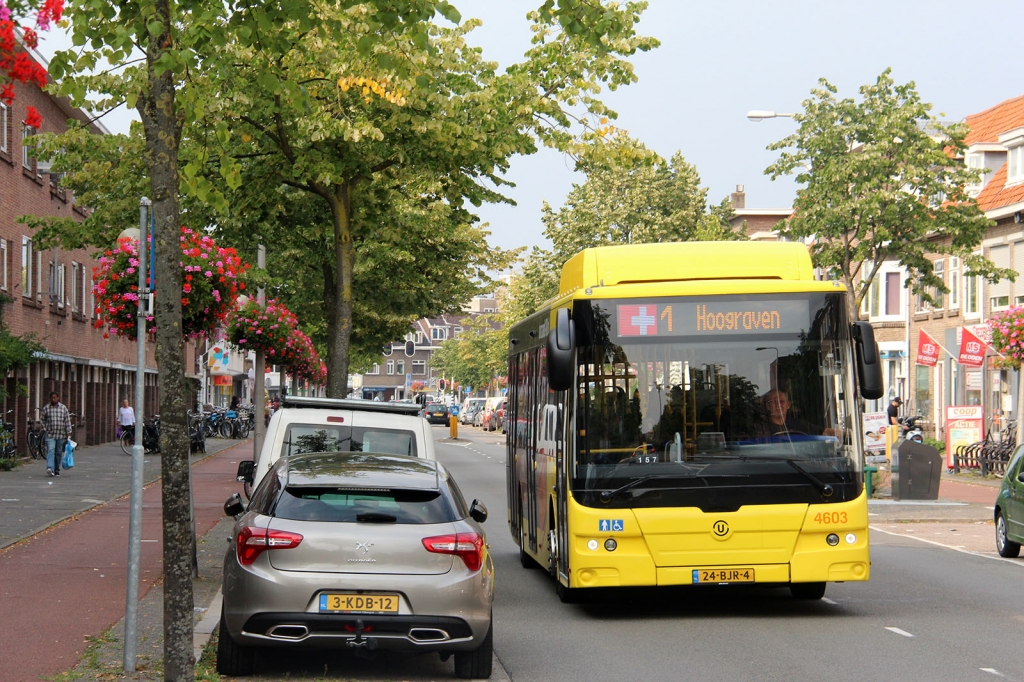 Klik op de foto om originele grootte te bekijken