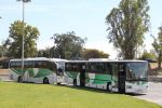 Bestandsnaam=0631_Boa_Viagem_02-MV-79.JPG
Bestandsgrootte=522KiB
Afmetingen = 1600x1067
Datum toegevoegd = 21 sep 2015 0631_Boa_Viagem_02-MV-79.JPG