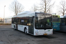 2960_bv-rg-65.jpg