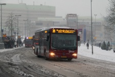 3126_BX-FS-67.JPG