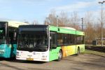 3151_BVXV32.JPG
