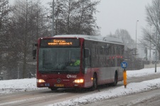 3274_BX-GL-49.JPG