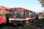 34-33-CO_2_23534.JPG