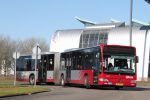 3509_BX-GF-91.JPG