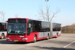 3515_BX-GH-05.JPG