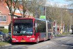 3517_BX-GJ-01.JPG