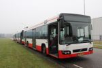 3835_BS-JX-09_01-17.JPG