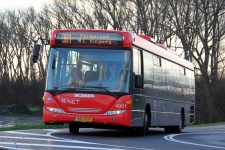 4001_BZ-LT-19.JPG