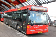 4033_BZ-NZ-14_2.JPG