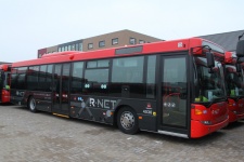 4036.jpg