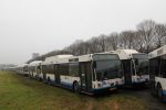 4071_BG-NL-20.JPG