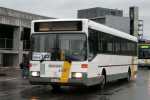 440517__18-1-2008_sdm_147.jpg