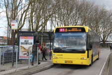 4419_BV-BV-90.JPG