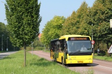 4433_BV-DF-61.JPG