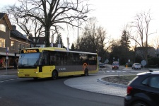 4477_BV-DT-51.JPG