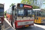 Bestandsnaam=485_BT-69-ZK.JPG
Bestandsgrootte=246KiB
Afmetingen = 1024x683
Datum toegevoegd = 18 mei 2014 485_BT-69-ZK.JPG