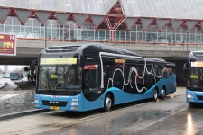 6052_61-bkg-1.JPG