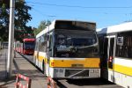 Bestandsnaam=684_CNV602_28229.JPG
Bestandsgrootte=396KiB
Afmetingen = 1600x1067
Datum toegevoegd = 01 jul 2016 684_CNV602_28229.JPG