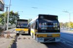 Bestandsnaam=694_COJ497.JPG
Bestandsgrootte=414KiB
Afmetingen = 1600x1067
Datum toegevoegd = 01 jul 2016 694_COJ497.JPG