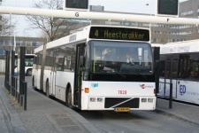 7828_BJ-NH-44.JPG