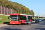 Bestandsnaam=801_GZT209_28229.JPG
Bestandsgrootte=442KiB
Afmetingen = 1600x1067
Datum toegevoegd = 01 jul 2016 801_GZT209_28229.JPG