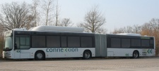 9266.jpg