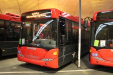 97.jpg