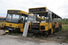BBA_904.jpg