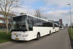 BV-LX-31.jpg