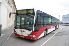 CFL_35_LUXEMBOURG_STALLING_13-08-2007_B1509.JPG