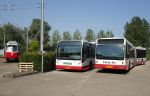 DSC00320.jpg