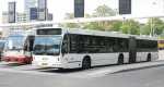 Hermes_9037_Ehv_18-05-2007_BG-SN-37.JPG