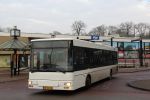 IMG_4550.JPG