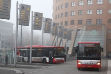 IMG_4725.JPG