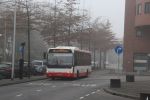 IMG_4732.JPG