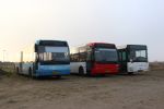 IMG_4785.JPG