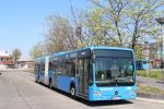 Bestandsnaam=IMG_5140.JPG
Bestandsgrootte=593KiB
Afmetingen = 1599x1066
Datum toegevoegd = 22 apr 2017 IMG_5140.JPG