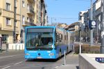 Bestandsnaam=IMG_5207.JPG
Bestandsgrootte=449KiB
Afmetingen = 1599x1066
Datum toegevoegd = 22 apr 2017 IMG_5207.JPG
