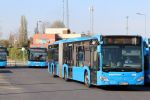 Bestandsnaam=IMG_5222.JPG
Bestandsgrootte=370KiB
Afmetingen = 1599x1066
Datum toegevoegd = 22 apr 2017 IMG_5222.JPG