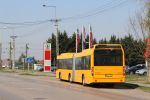 IMG_5276.JPG