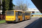 Bestandsnaam=IMG_5283.JPG
Bestandsgrootte=496KiB
Afmetingen = 1599x1066
Datum toegevoegd = 24 apr 2017 IMG_5283.JPG