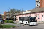 Bestandsnaam=IMG_5380.JPG
Bestandsgrootte=451KiB
Afmetingen = 1599x1066
Datum toegevoegd = 24 apr 2017 IMG_5380.JPG