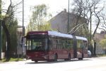 Bestandsnaam=IMG_5413.JPG
Bestandsgrootte=512KiB
Afmetingen = 1599x1066
Datum toegevoegd = 27 apr 2017 IMG_5413.JPG