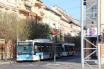 Bestandsnaam=IMG_5449.JPG
Bestandsgrootte=534KiB
Afmetingen = 1599x1066
Datum toegevoegd = 27 apr 2017 IMG_5449.JPG
