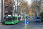 IMG_5551.JPG